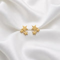 Star Cluster Stud